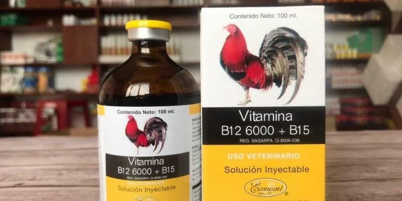 Cách chăm sóc gà đá bổ sung vitamin